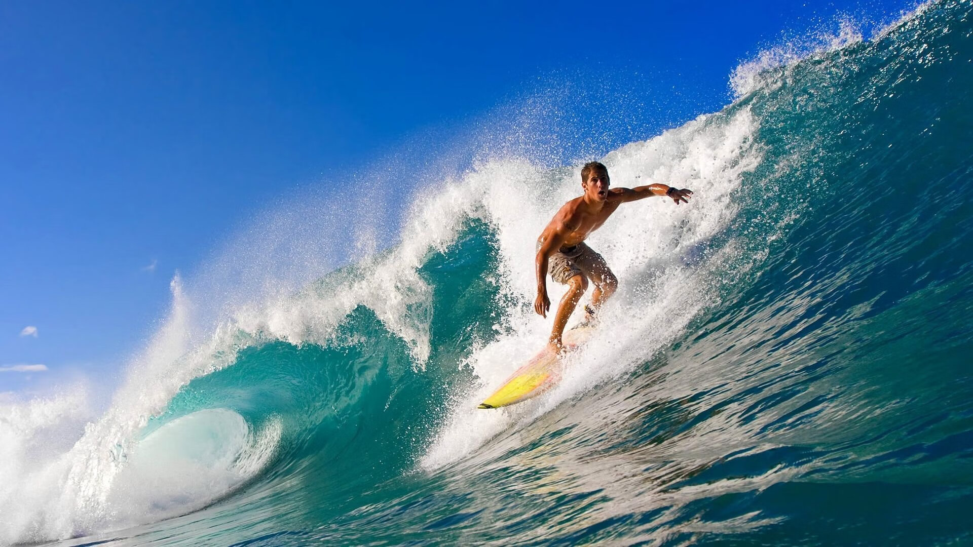神迹诞生夜！莫兰特总决赛逆天改命，压制级表演撕裂对手防线