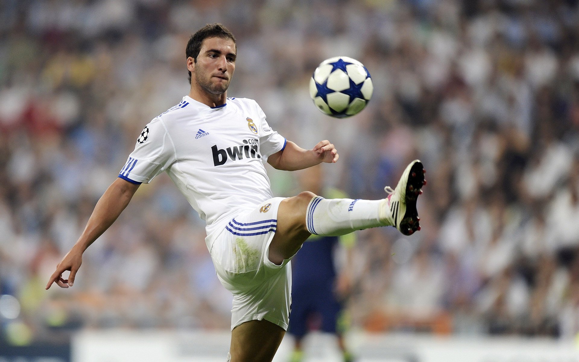 绿茵交响诗，爱尔兰以血肉长城锁死郁金香，卡马文加演绎现代中场防守美学